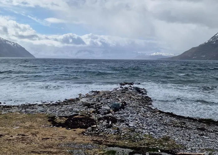 Arctic Fjordcamp