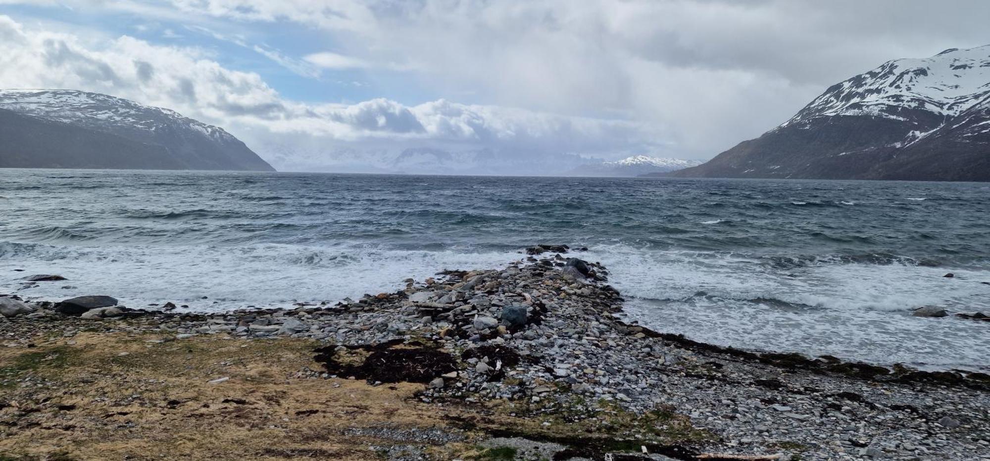 Arctic Fjordcamp *
