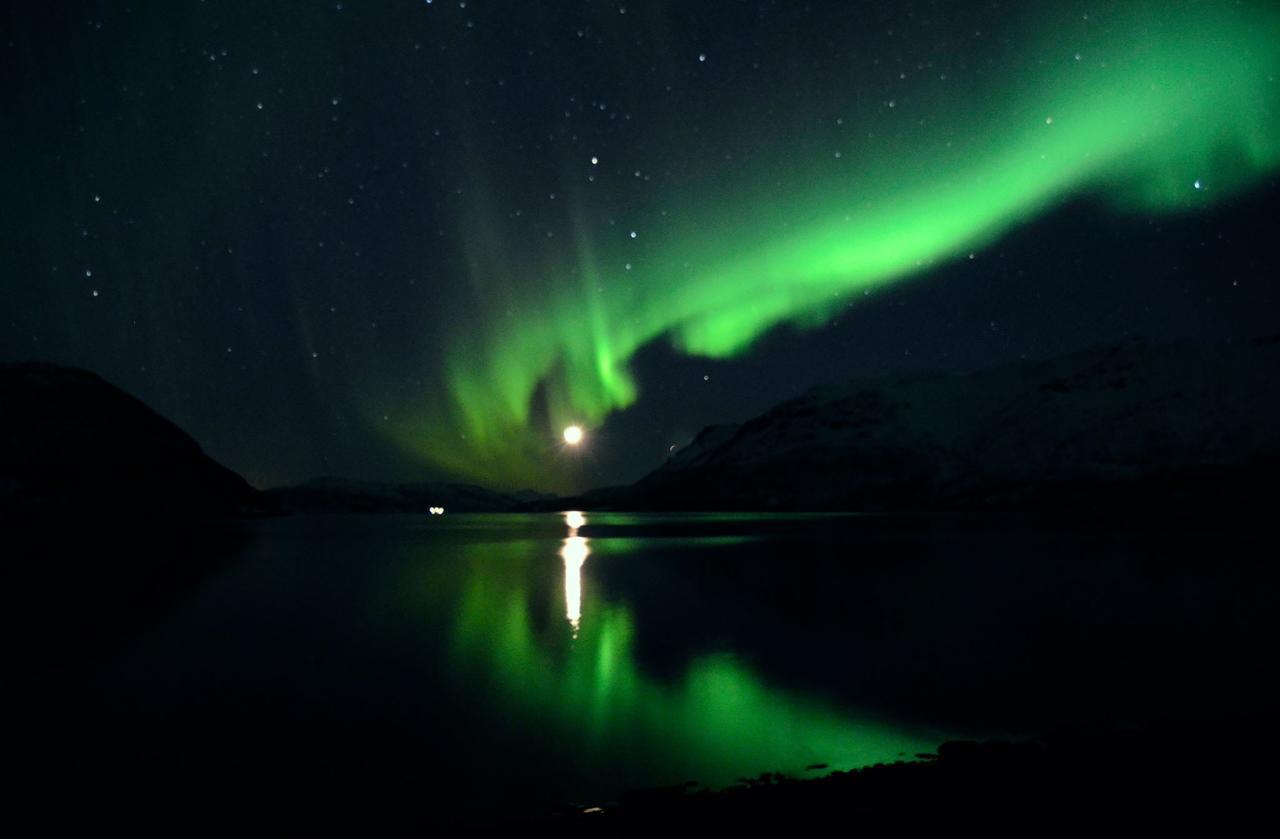 Arctic Fjordcamp Burfjord