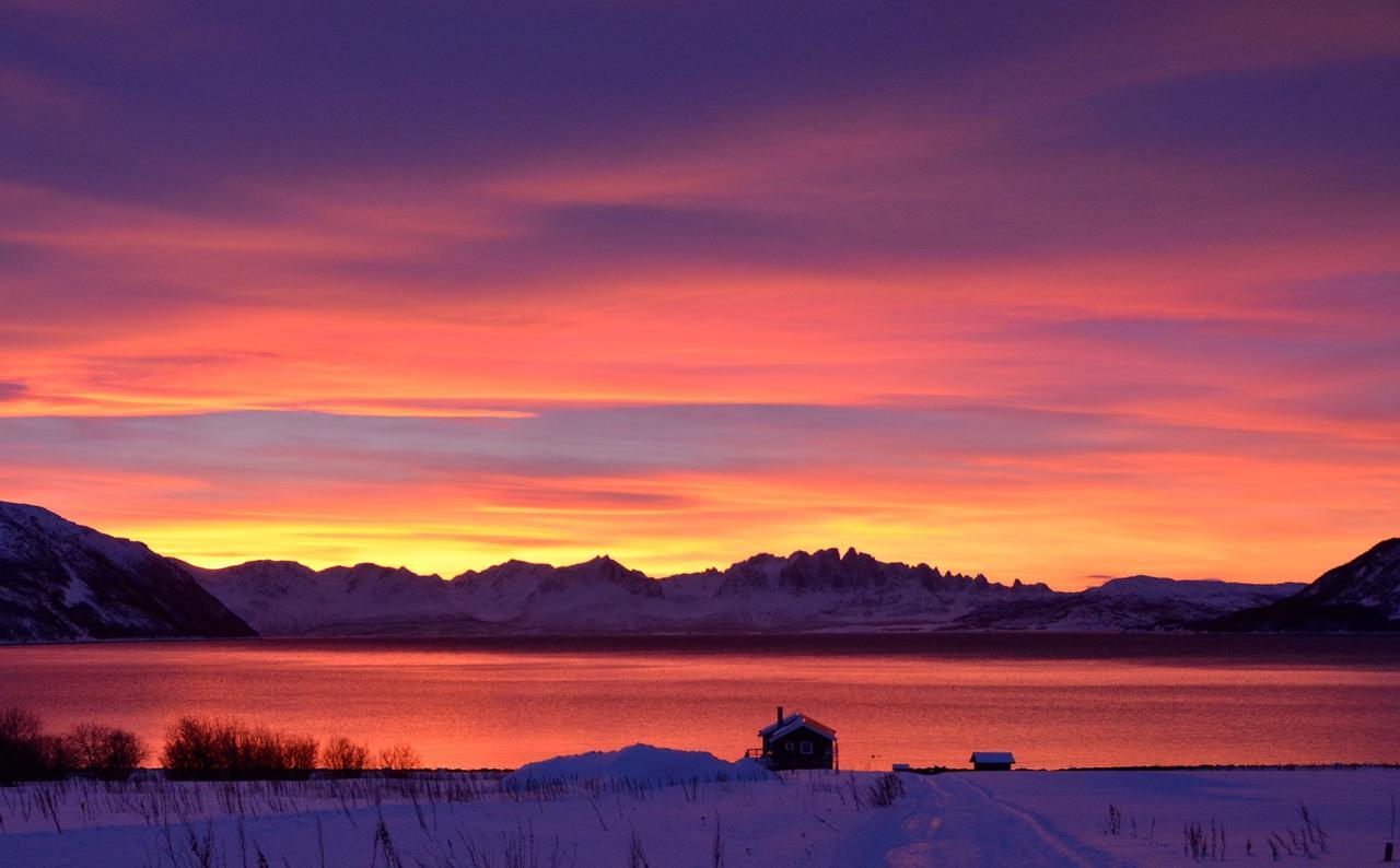 Campingplads Arctic Fjordcamp *