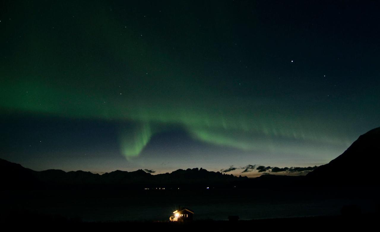 Arctic Fjordcamp * Burfjord