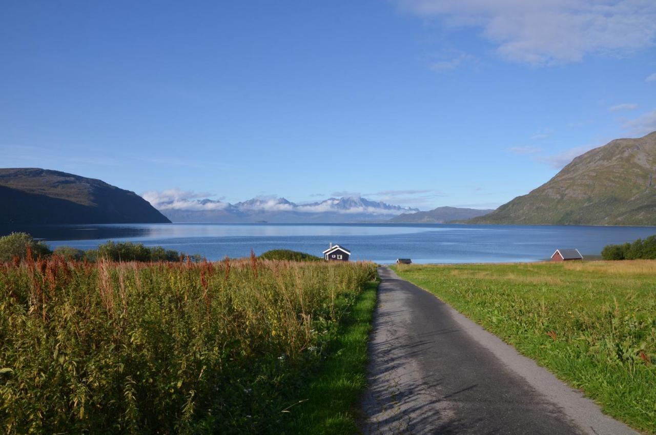 Arctic Fjordcamp Camping