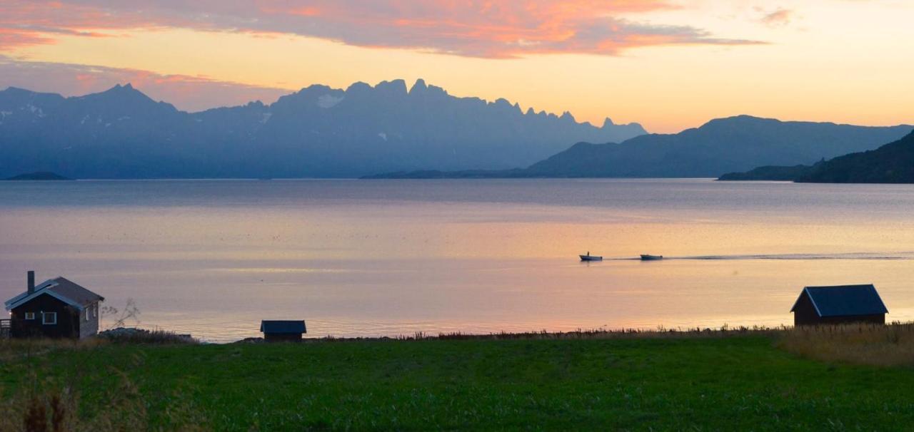 Campingplads Arctic Fjordcamp *