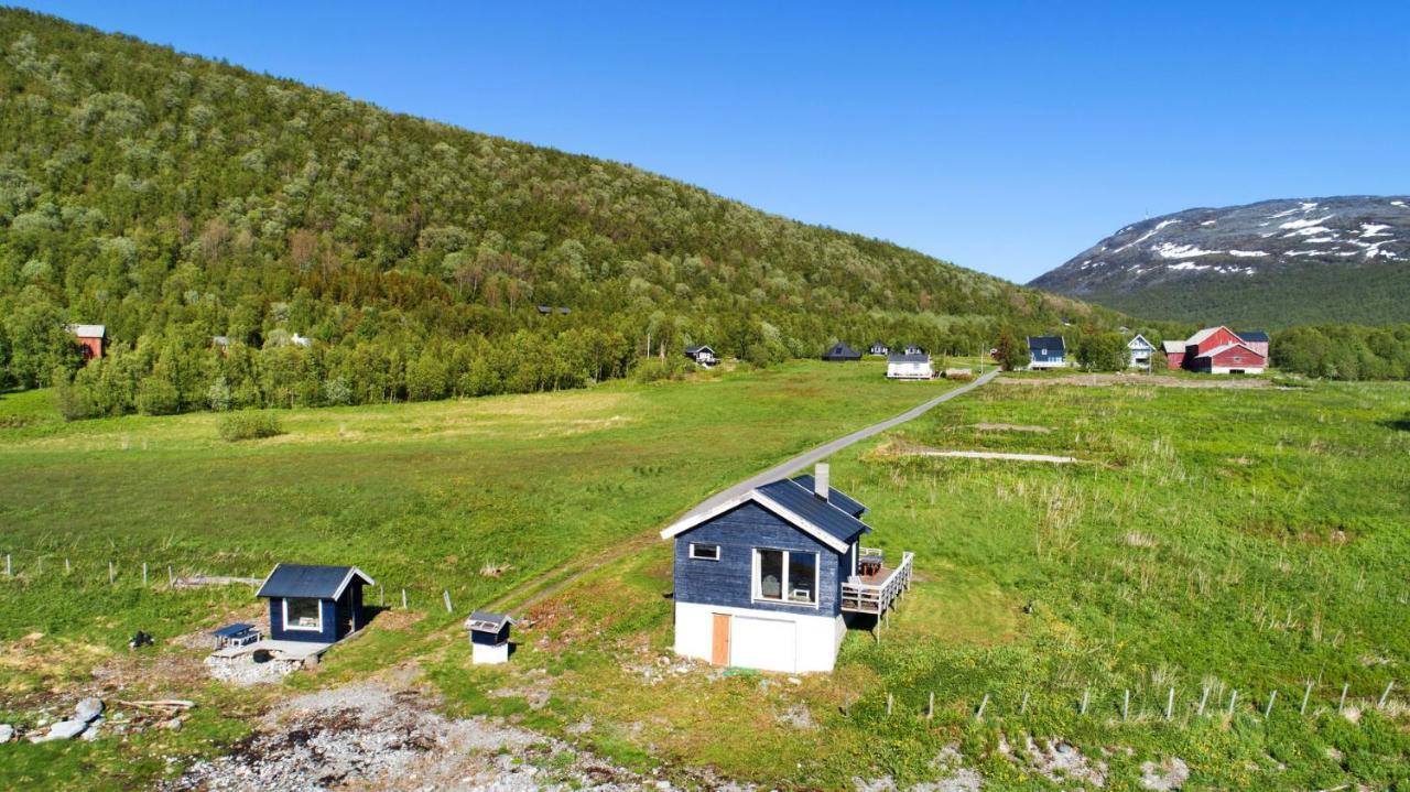 Arctic Fjordcamp Campingplads